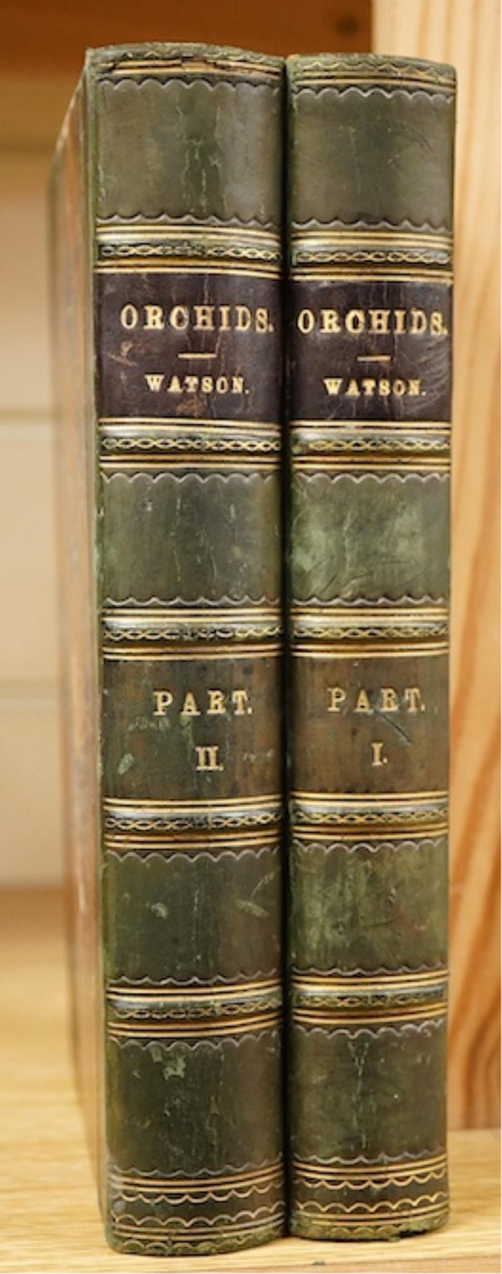 Watson, W. & Bean, W. - Orchids: their culture and management ... (bound as 2 vols). num. colour printed lithographed plates and some others, text illus.; contemp, half calf and marbled boards, gilt panelled spines with